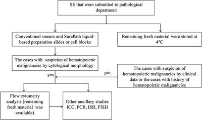 Serous Effusions Diagnostic Accuracy for Hematopoietic Malignancies: A Cyto-Histological Correlation